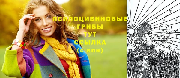 ГАЛЛЮЦИНОГЕННЫЕ ГРИБЫ Абинск